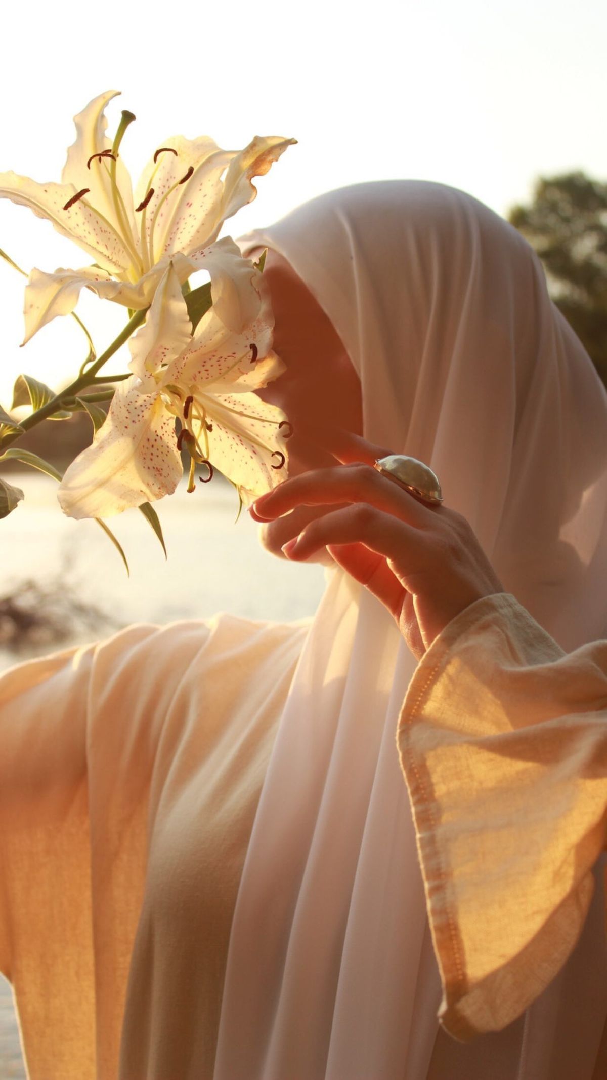 Elegant Hijab